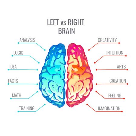 Left-Brain-Right-Brain-TEST-edited